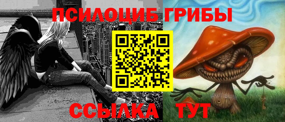 Псилоцибиновые грибы MAGIC MUSHROOMS  Вход с VPN  хочу   Псилоцибиновые грибы MAGIC MUSHROOMS  Сергиев Посад 